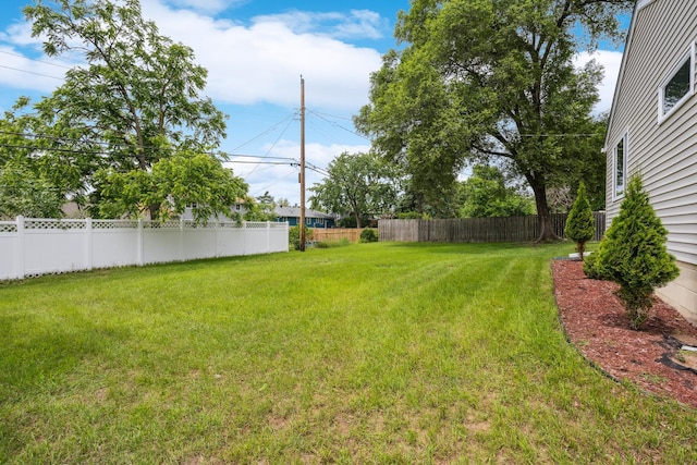 6342 Baker Ave NE, Fridley, MN 55432 - view of yard
