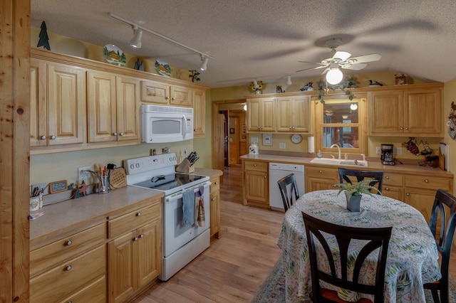 35139 County 39, Laporte, MN 56461 - kitchen with white appliances, rail lighting, light countertops, light wood-style flooring, and a ceiling fan