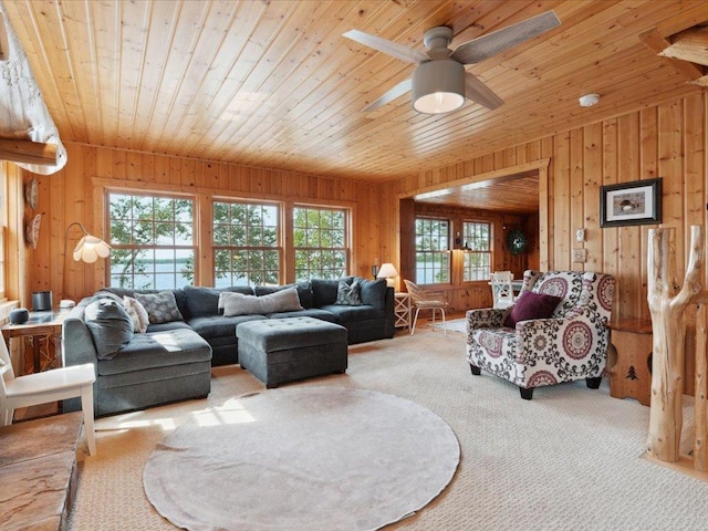 33291 Upper Hay Dr, Jenkins Twp, MN 56472 - photo 11