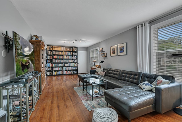 212 30th Ave N, Saint Cloud, MN 56303 - living room featuring healthy amount of natural light and wood-type flooring
