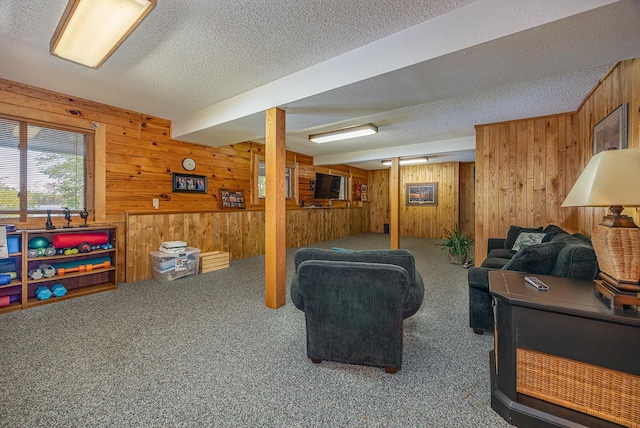 1116 Sand Lake Dr NW, Backus, MN 56435 - living area featuring a textured ceiling, wood walls, and carpet