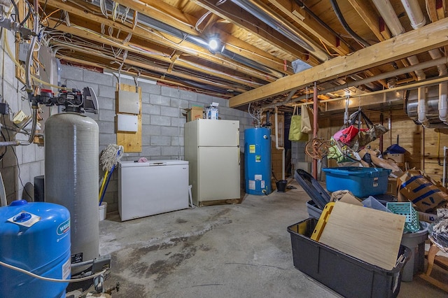 1116 Sand Lake Dr NW, Backus, MN 56435 - unfinished basement with a water pressure tank, freestanding refrigerator, water heater, fridge, and a water softener system