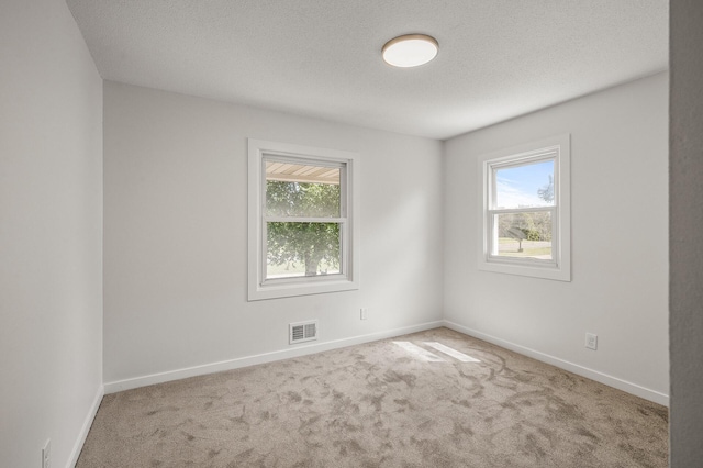 4909 98th St, Bloomington, MN 55437 - carpeted empty room with healthy amount of natural light and a textured ceiling