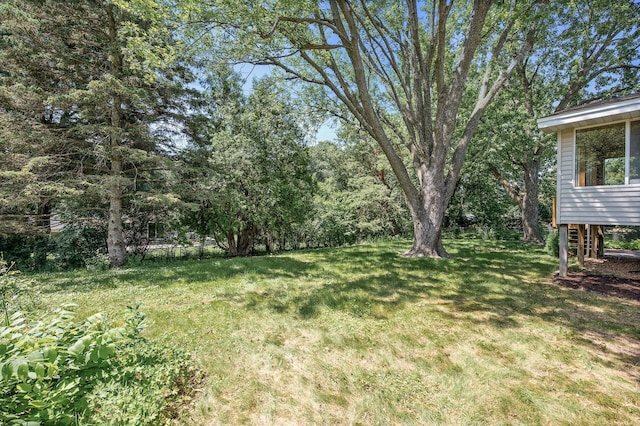 4909 98th St, Bloomington, MN 55437 - view of green lawn