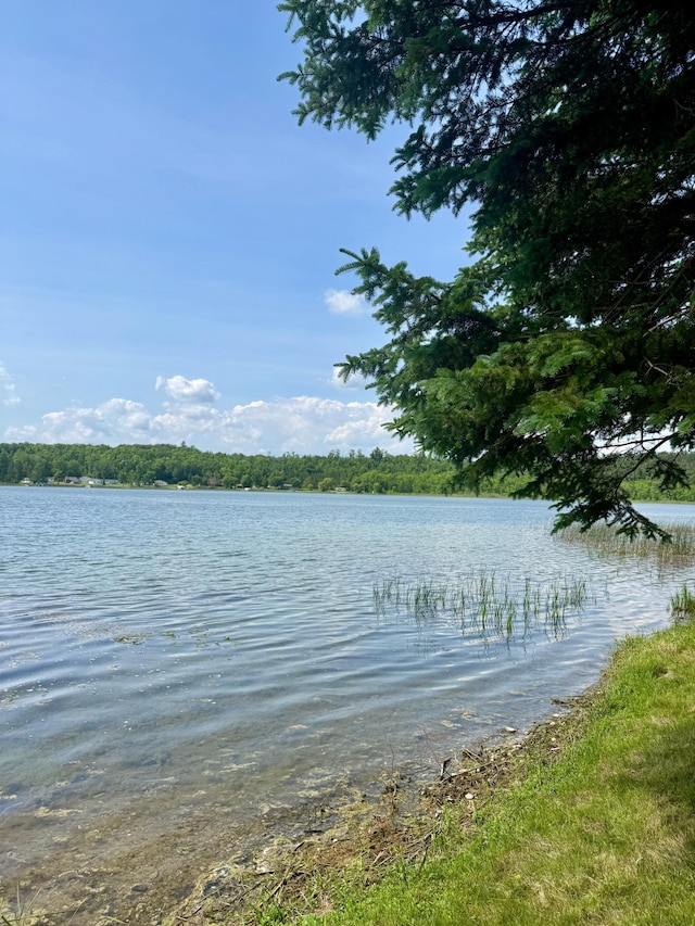 39130 Notebloom Ln, Waubun, MN 56589 - water view