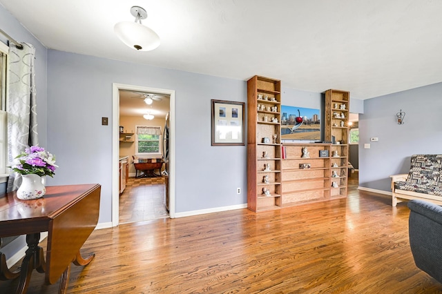 7447 Cleadis Way, Inver Grove Heights, MN 55076 - living area with wood finished floors and a ceiling fan