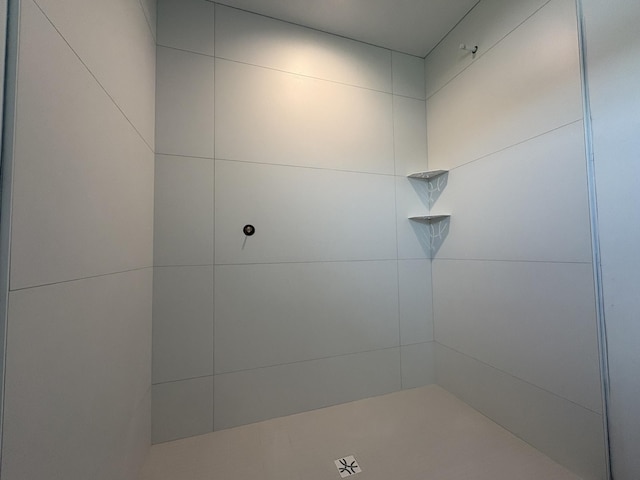 3617 Meadow Sage Ct SE, Rochester, MN 55904 - bathroom with a tile shower