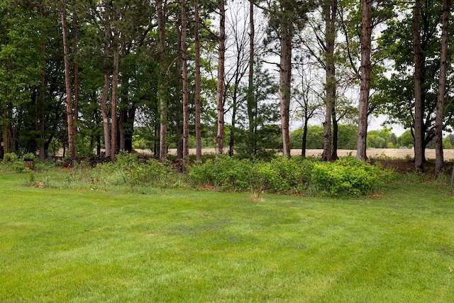 N8343 Mcwain Dr, Holland Twp, WI 54636 - view of green lawn