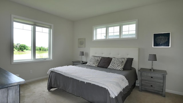 1872 Oakpointe Dr, Waconia, MN 55387 - bedroom with light colored carpet