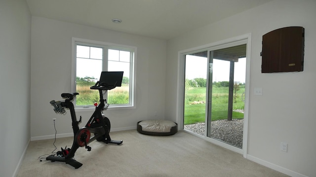1872 Oakpointe Dr, Waconia, MN 55387 - exercise area with carpet flooring and baseboards