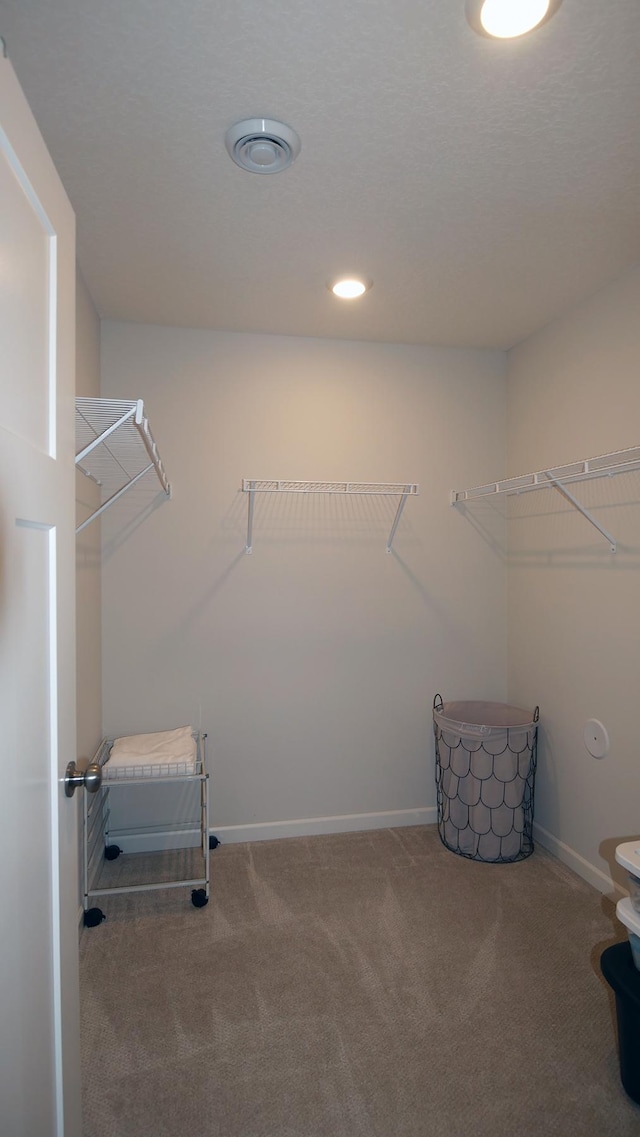 1872 Oakpointe Dr, Waconia, MN 55387 - walk in closet featuring carpet floors