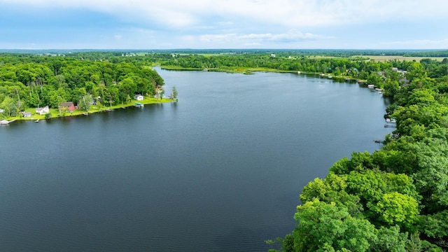 1962 81st St, Balsam Lake, WI 54810 - bird's eye view of a nearby body of water