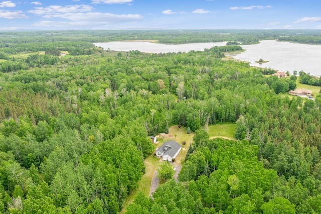 5948 Lavaque Rd, Fredenberg Twp, MN 55803 - aerial view of a forest and a nearby body of water
