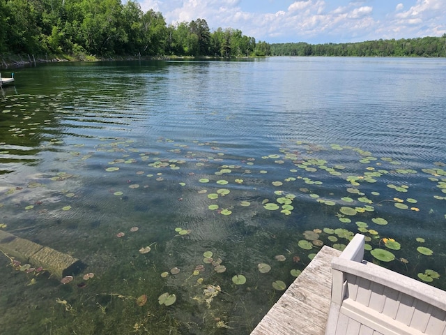 44250 Posterity Beach Ln, Waubun, MN 56589 - water view with a heavily wooded area