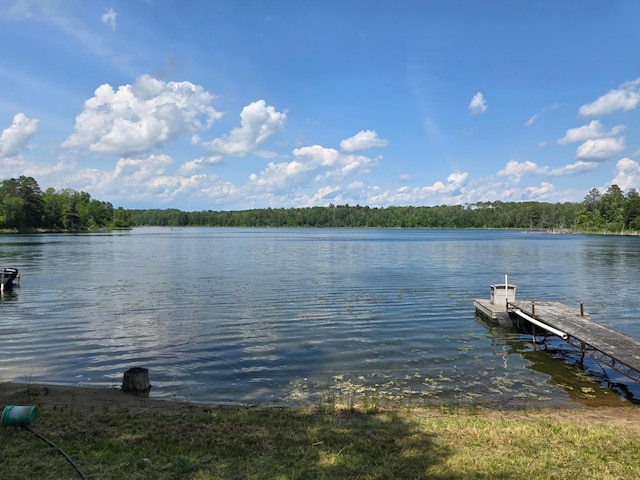 44250 Posterity Beach Ln, Waubun, MN 56589 - dock with a water view and a view of trees