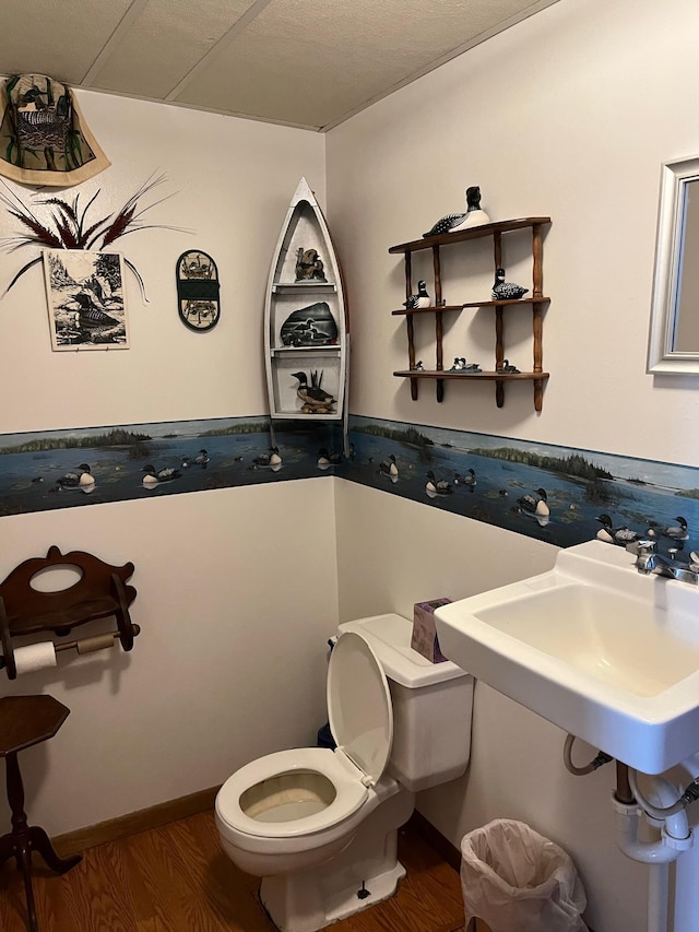 44250 Posterity Beach Ln, Waubun, MN 56589 - bathroom with wood finished floors and toilet