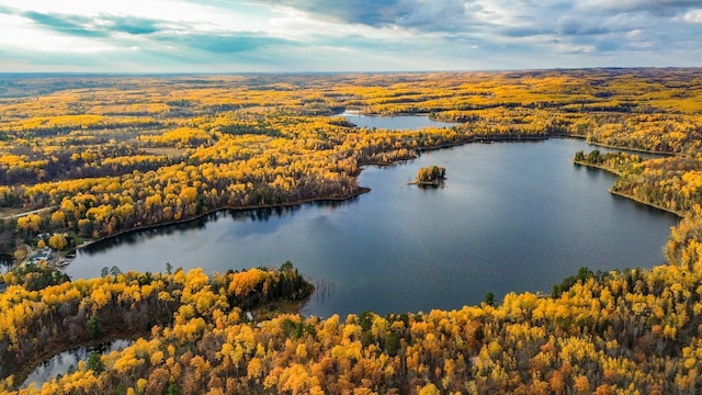 44250 Posterity Beach Ln, Waubun, MN 56589 - bird's eye view of a nearby body of water