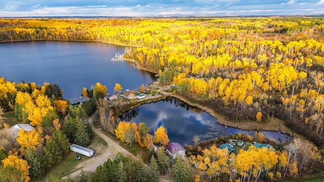 44250 Posterity Beach Ln, Waubun, MN 56589 - bird's eye view of a forest and a nearby body of water