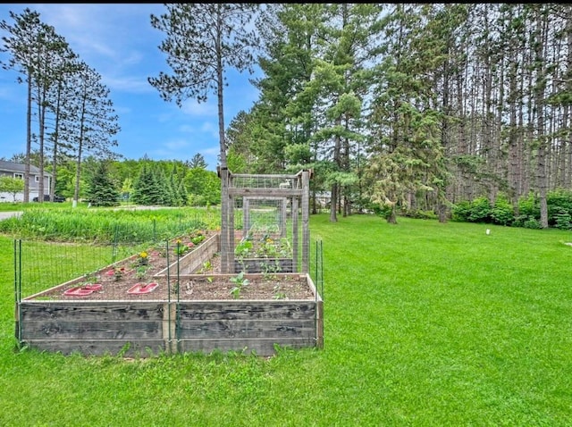 315 32nd St, Grand Rapids, MN 55744 - view of grassy yard featuring a garden