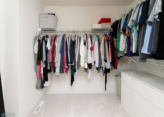 7328 Aquiline Dr S, Fargo, ND 58104 - spacious closet with carpet flooring