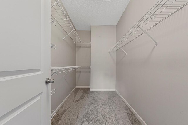 546 Cannon Way, Dundas, MN 55019 - photo 30