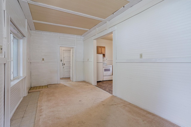 196 Beaulieu St W, Motley, MN 56466 - spare room featuring light carpet