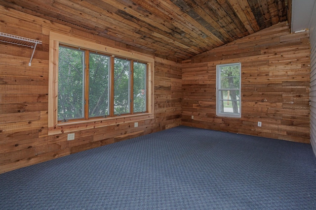 196 Beaulieu St W, Motley, MN 56466 - carpeted spare room with wooden walls, lofted ceiling, and wood ceiling