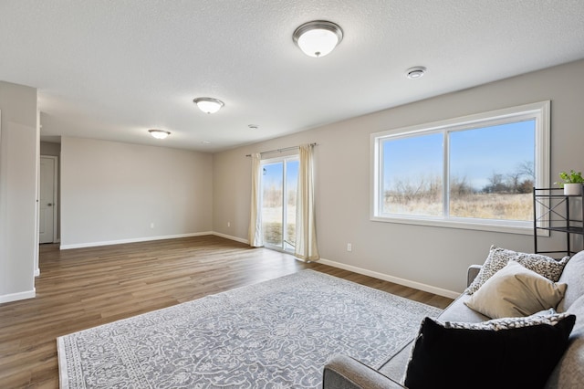 945 Breckenridge Ln, Montrose, MN 55363 - living area featuring healthy amount of natural light, wood finished floors, and a textured ceiling