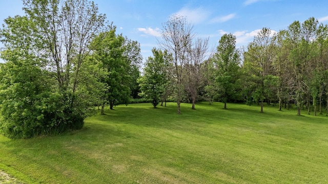W3767 750th Ave, Gilman Twp, WI 54767 - view of green lawn
