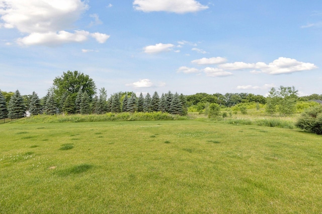 7568 Glen Alcove, Woodbury, MN 55129 - photo 105