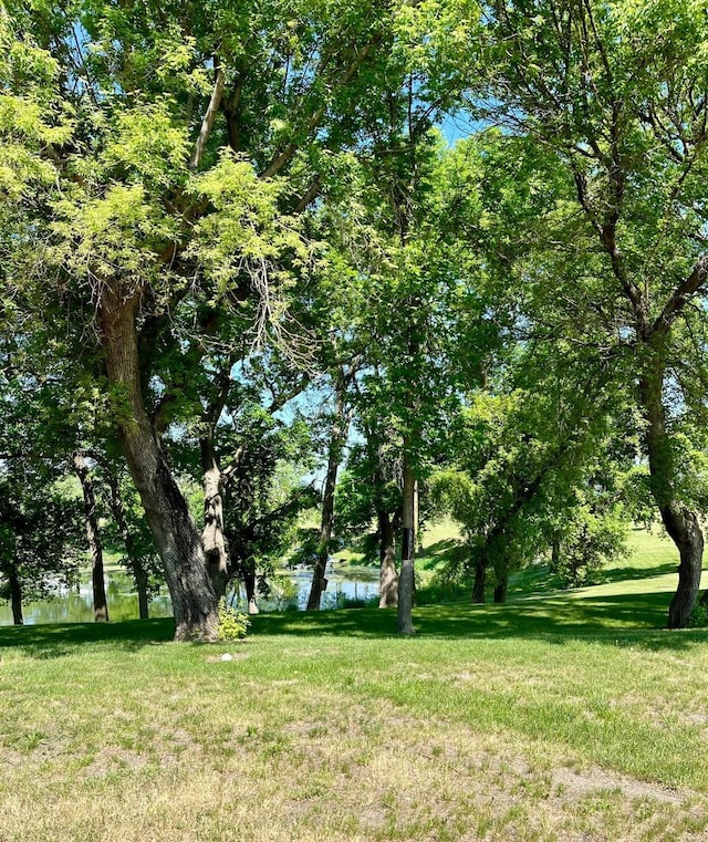 601 Main St N, Underwood, MN 56586 - photo 4