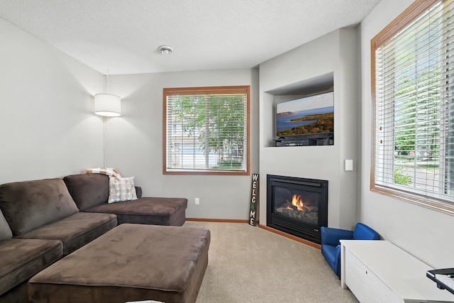 451 Frederick Cir Unit 1405, Hastings, MN 55033 - living area with light carpet, plenty of natural light, a glass covered fireplace, and a textured ceiling