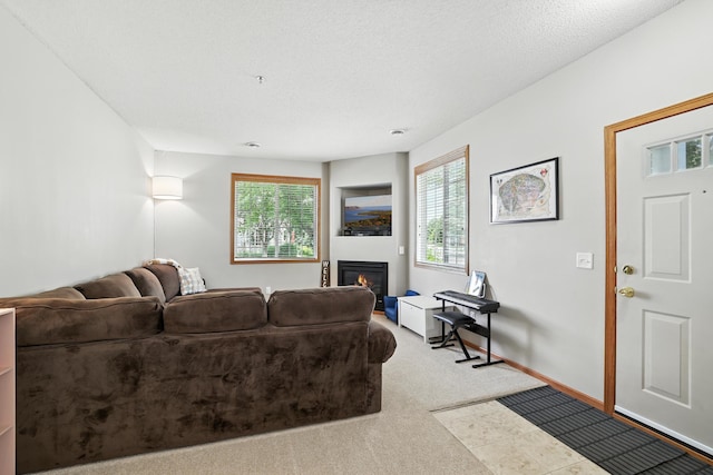 451 Frederick Cir Unit 1405, Hastings, MN 55033 - living area with a glass covered fireplace, carpet floors, and a textured ceiling