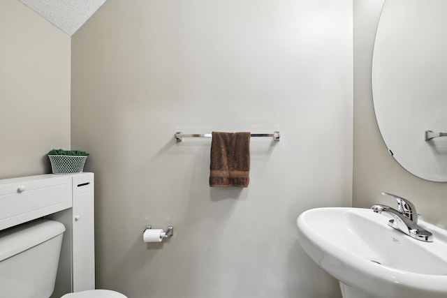 451 Frederick Cir Unit 1405, Hastings, MN 55033 - bathroom with a sink and toilet