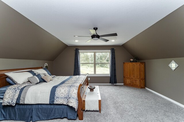 6950 Larkspur Pkwy NW, Rochester, MN 55901 - photo 18