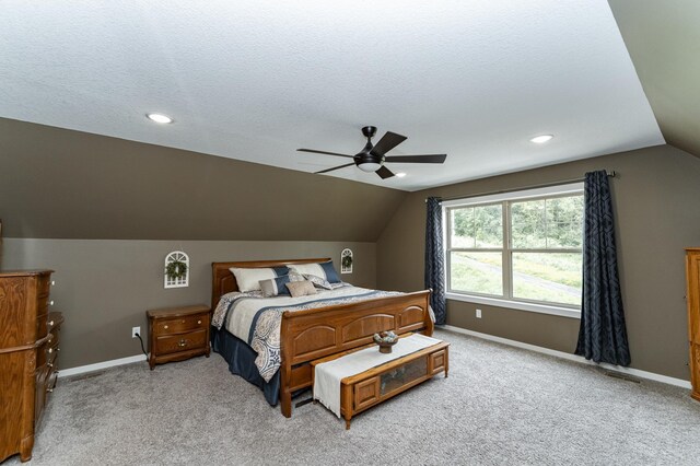 6950 Larkspur Pkwy NW, Rochester, MN 55901 - photo 19