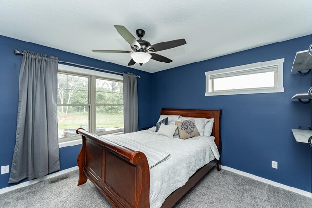 6950 Larkspur Pkwy NW, Rochester, MN 55901 - photo 24