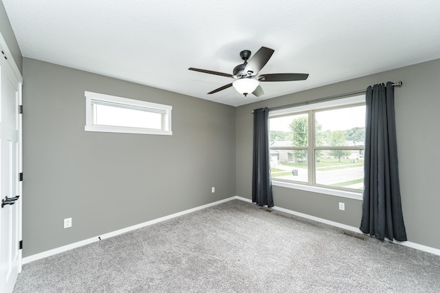 6950 Larkspur Pkwy NW, Rochester, MN 55901 - photo 27
