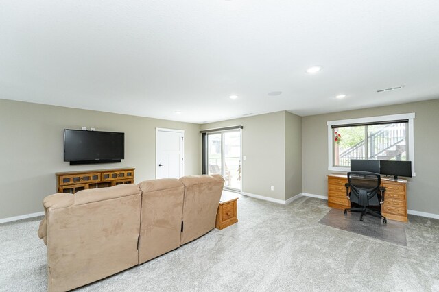 6950 Larkspur Pkwy NW, Rochester, MN 55901 - photo 36