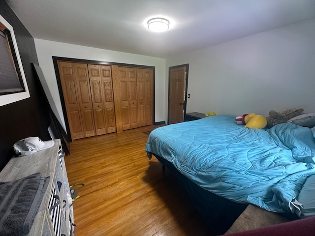 1520 6th St, Montevideo, MN 56265 - bedroom with light wood finished floors and a closet