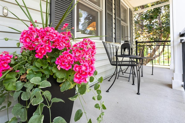 6045 Galpin Lake Rd, Shorewood, MN 55331 - view of porch