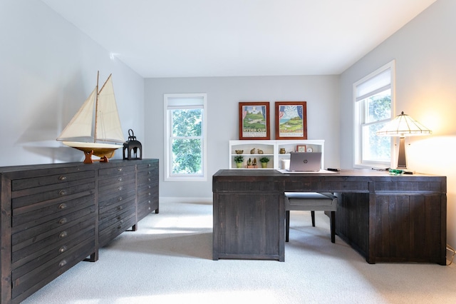6045 Galpin Lake Rd, Shorewood, MN 55331 - carpeted home office featuring healthy amount of natural light