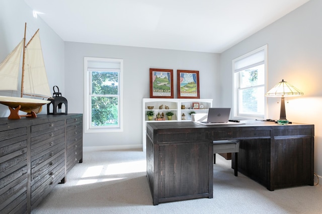 6045 Galpin Lake Rd, Shorewood, MN 55331 - office area with healthy amount of natural light and light carpet