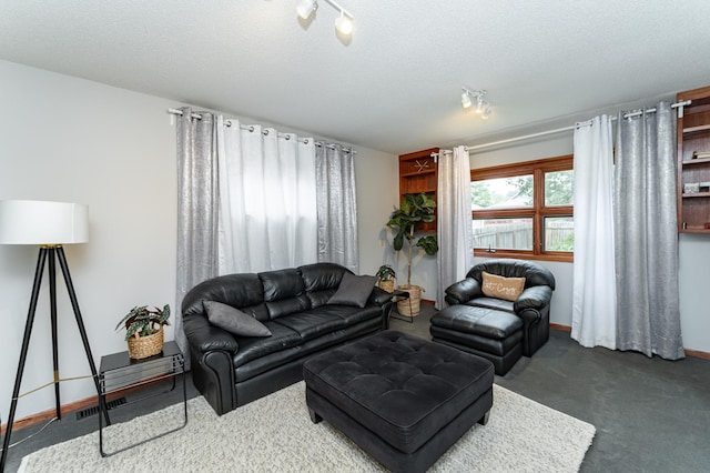 1130 4th Ave SE, Rochester, MN 55904 - living room featuring track lighting and dark colored carpet