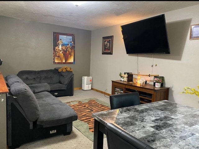 901 Prince St, Mountain Lake, MN 56159 - living area with carpet and a textured ceiling
