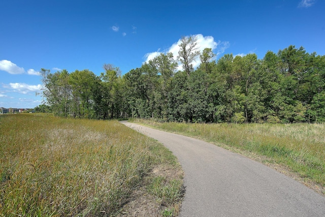 4578 Woodland Cove Pkwy, Minnetrista, MN 55331 - view of street featuring a wooded view