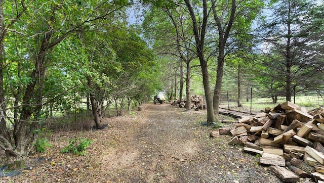 21038 Lace Ave, Hutchinson, MN 55350 - view of wooded area