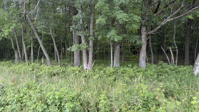 Listing photo 2 - caption unavailable