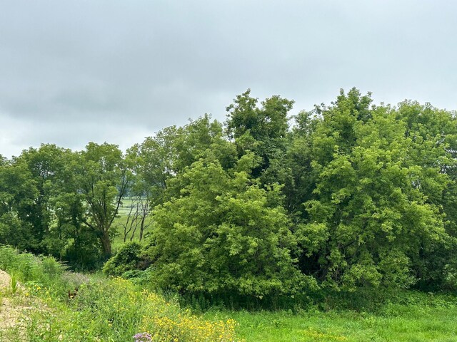 TBD County Road 43, Laketown Twp, MN 55318 - photo 2