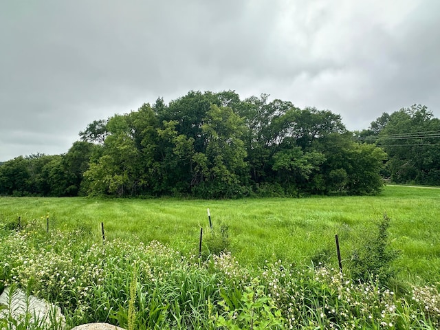 TBD County Road 43, Laketown Twp, MN 55318 - photo 5